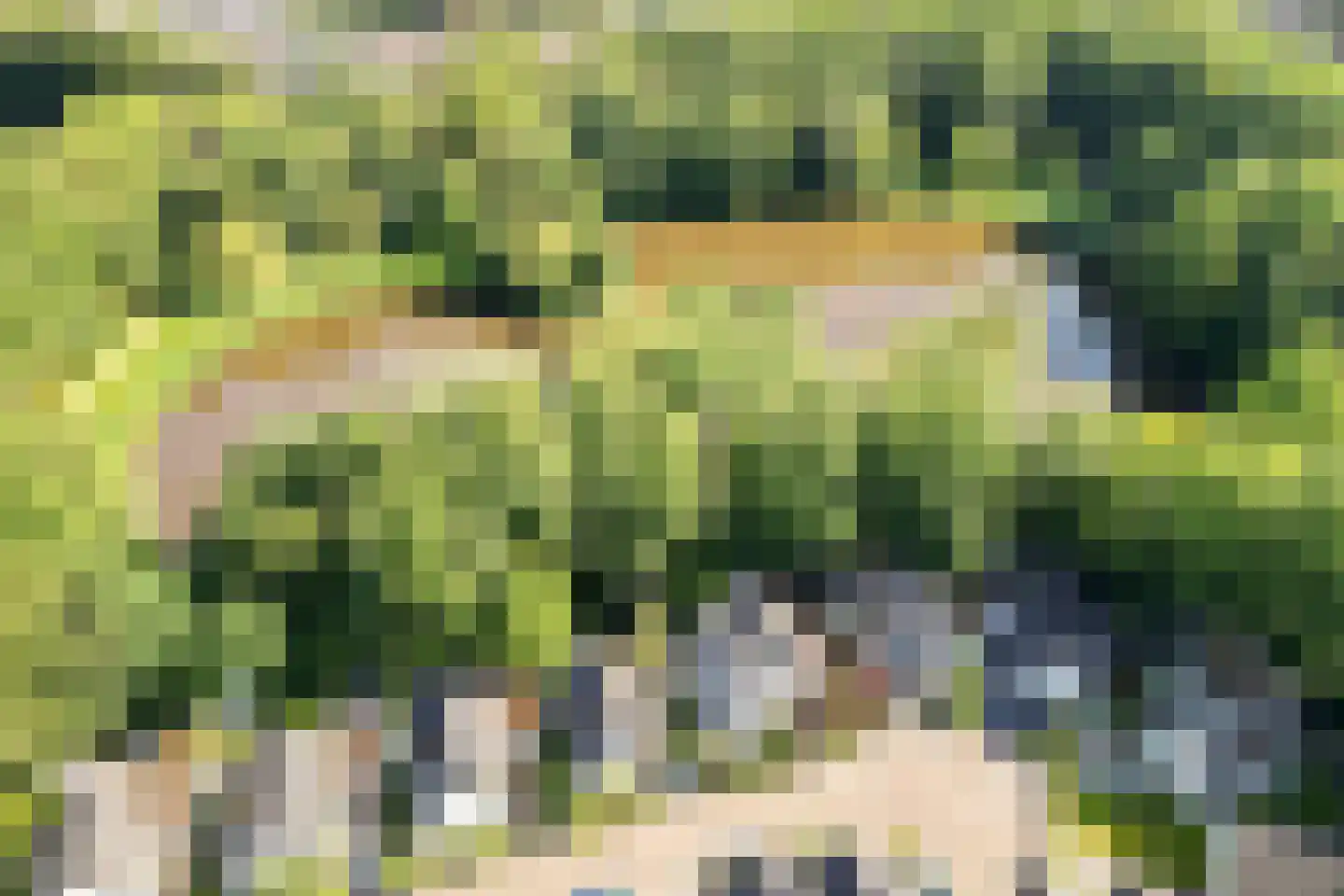 Smuddeboshoek 14 Enschede thumbnail 6