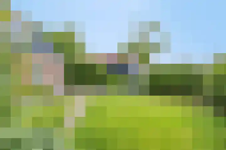 Smuigelweg 1 A Heerhugowaard thumbnail 10
