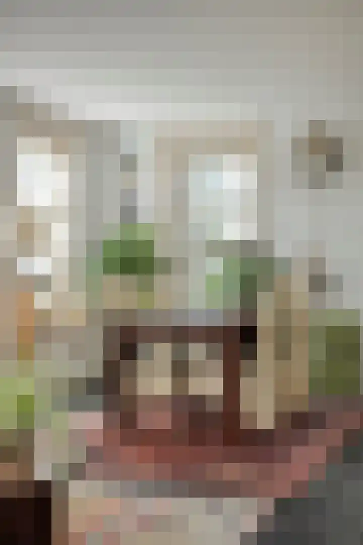 Smuigelweg 1 A Heerhugowaard thumbnail 23