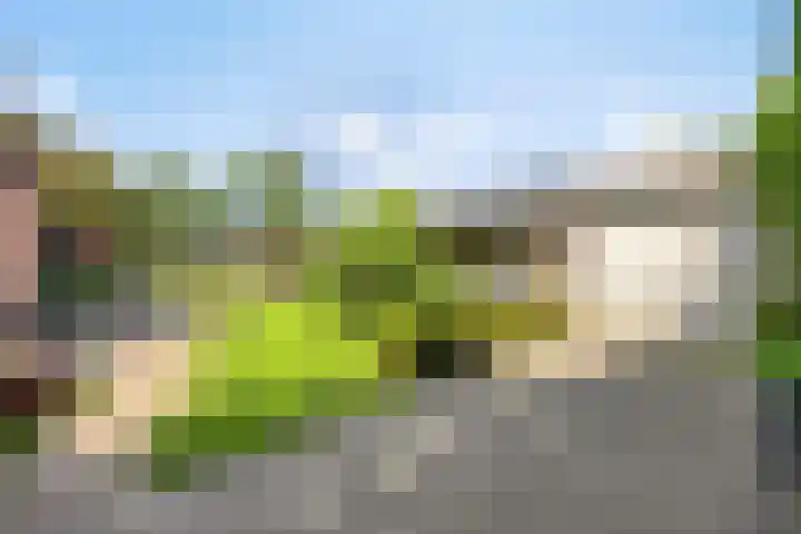 Smuigelweg 1 A Heerhugowaard thumbnail 40