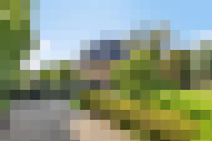 Smuigelweg 1 A Heerhugowaard thumbnail 41