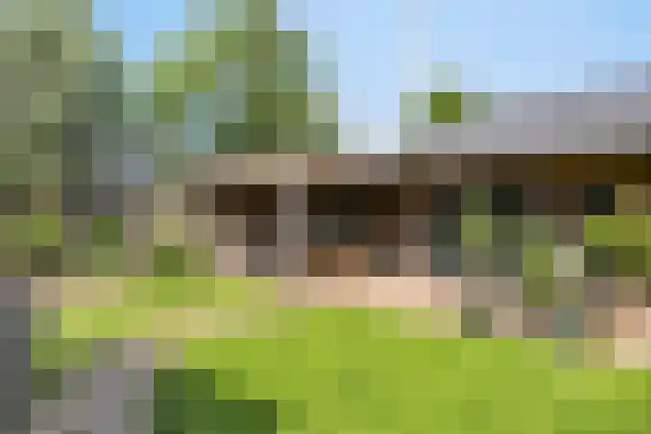 Smuigelweg 1 A Heerhugowaard thumbnail 42