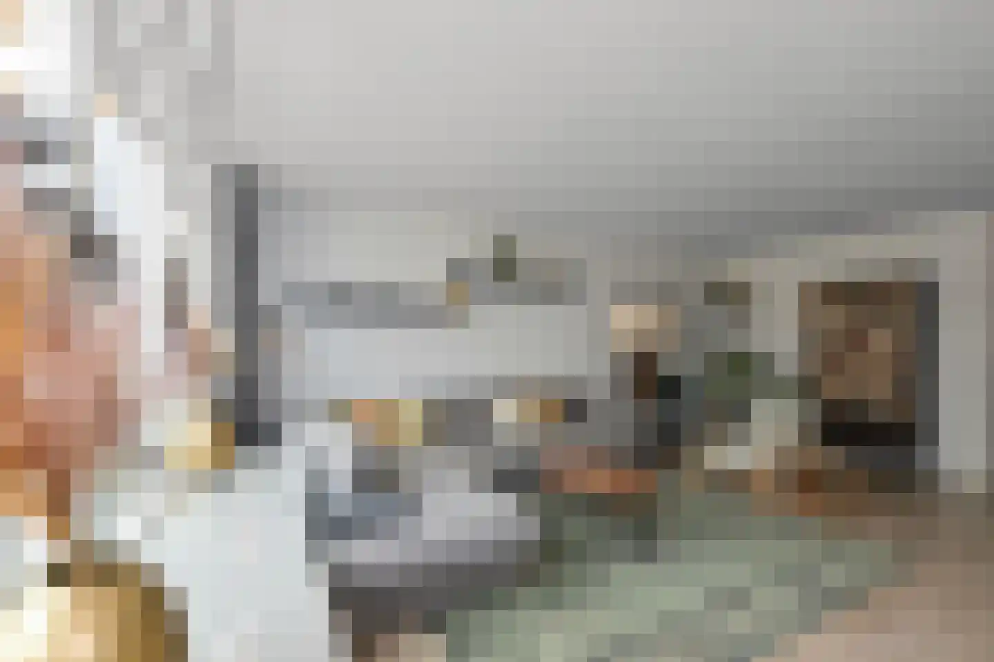 Smuiger 29 Assendelft thumbnail 13