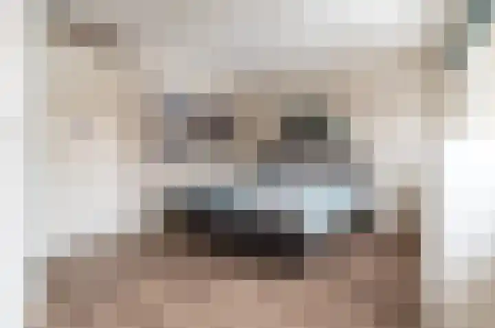 Smutslaan 115 Ermelo thumbnail 11