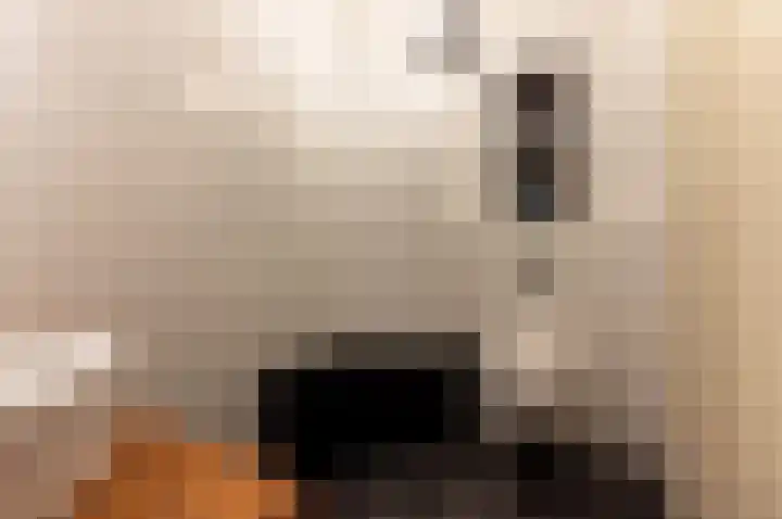 Smutslaan 115 Ermelo thumbnail 17