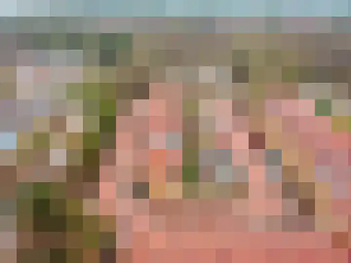 Smutslaan 115 Ermelo thumbnail 29