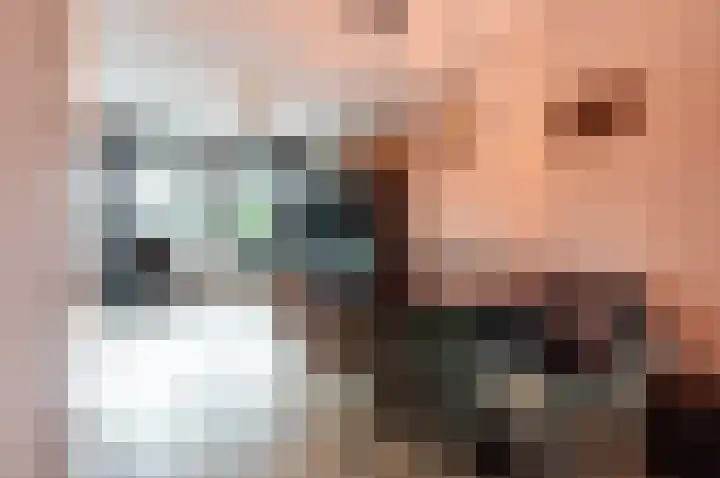 Smutslaan 115 Ermelo thumbnail 5