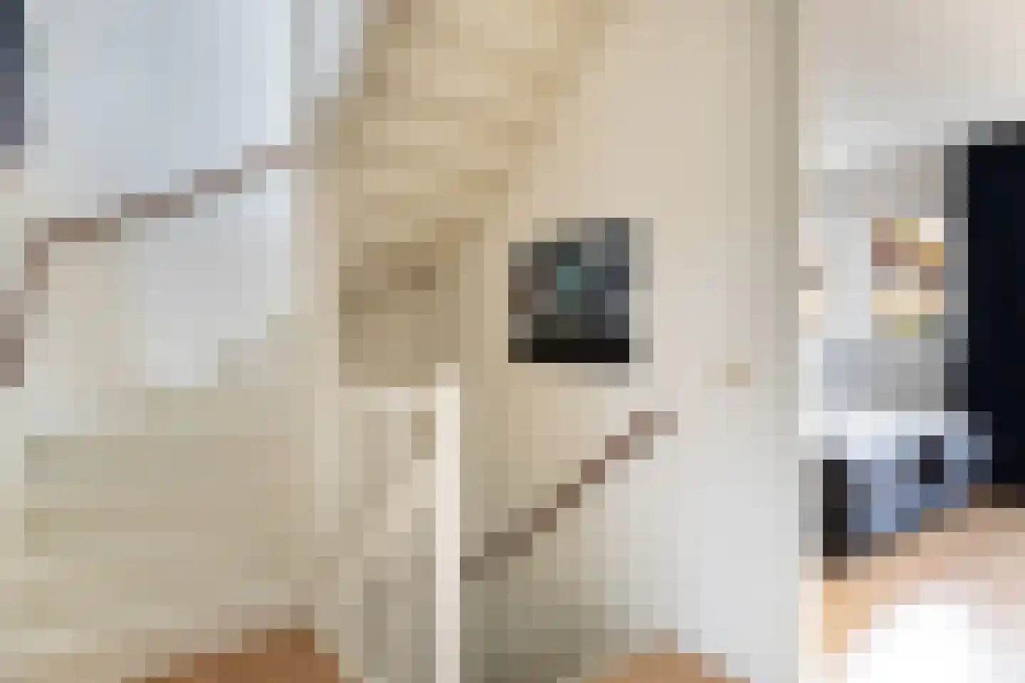 Smutslaan 123 Ermelo thumbnail 19