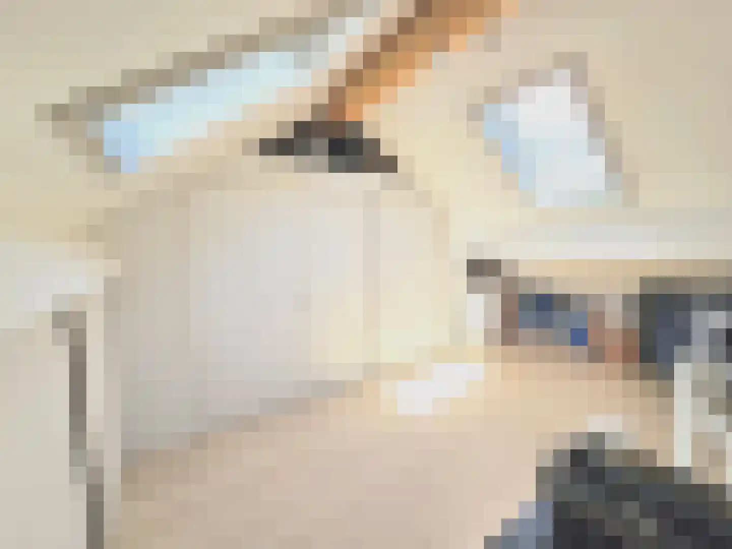 Smutslaan 123 Ermelo thumbnail 33
