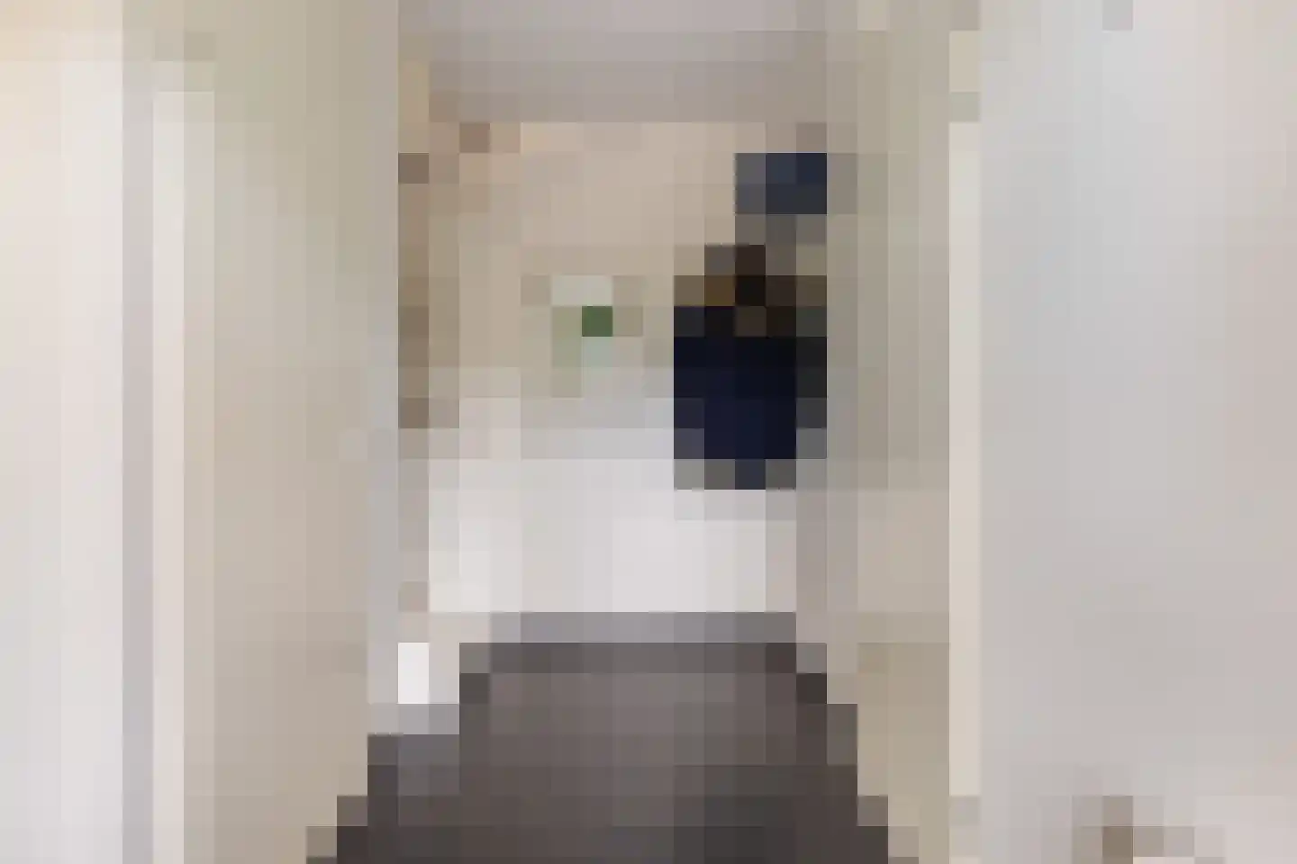 Smutslaan 123 Ermelo thumbnail 4
