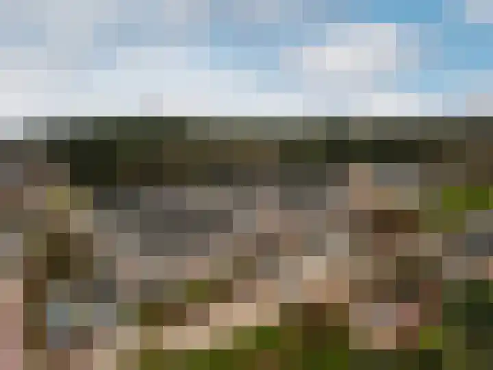 Smutslaan 19 B Ermelo thumbnail 35