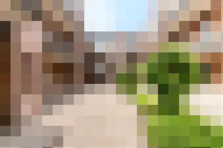 Smutslaan 21 Ermelo thumbnail 21