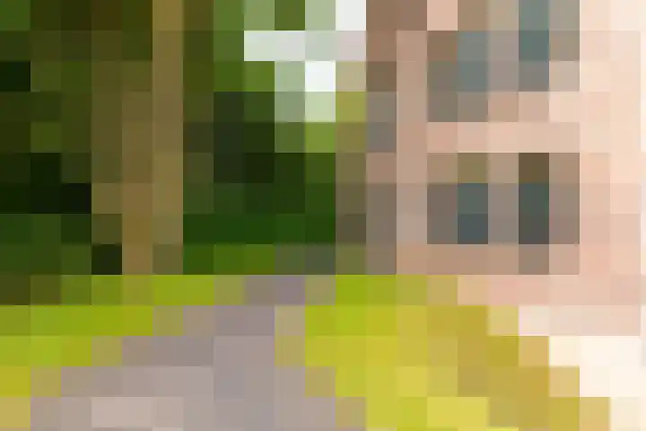 Smutslaan 21 Ermelo thumbnail 27