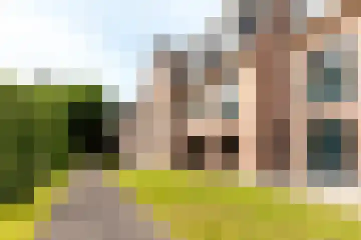 Smutslaan 21 Ermelo thumbnail 28