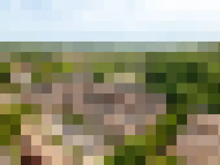 Smutslaan 21 Ermelo thumbnail 38