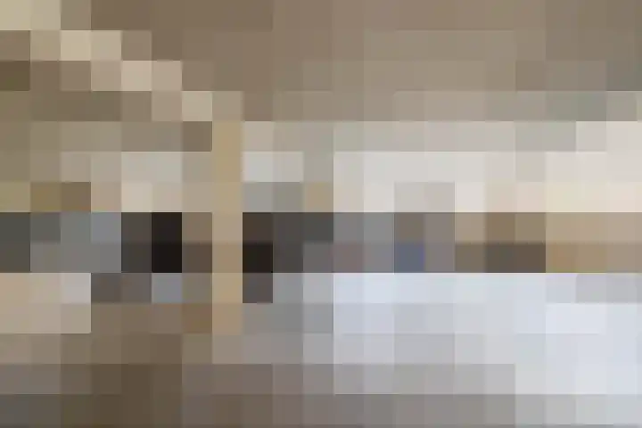 Smutslaan 23 A Ermelo thumbnail 19