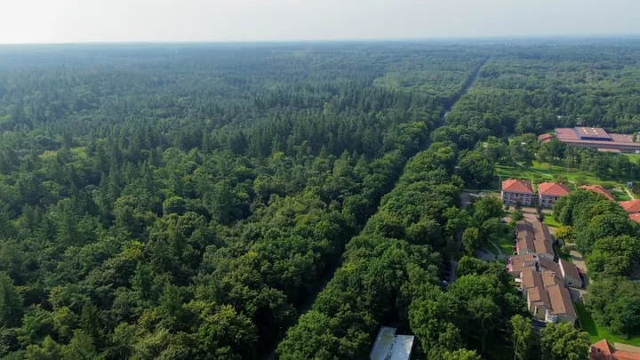 Smutslaan 23 A Ermelo thumbnail 25