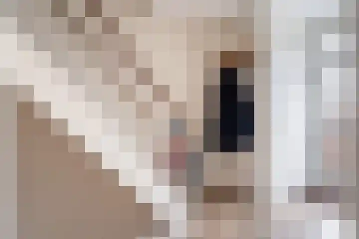 Smutslaan 28 Ermelo thumbnail 17