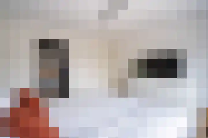 Smutslaan 28 Ermelo thumbnail 20