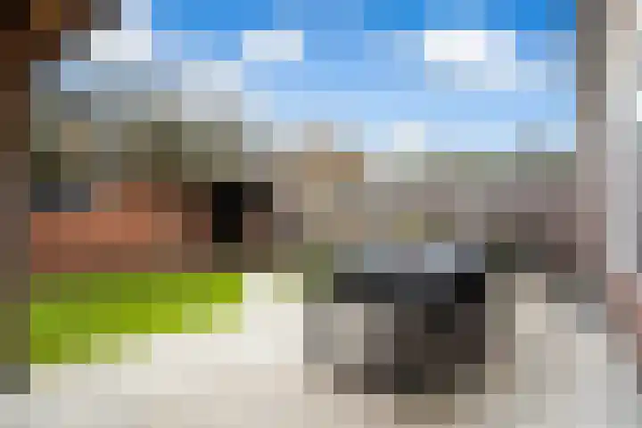 Smutslaan 28 Ermelo thumbnail 40