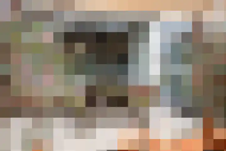 Smutslaan 28 Ermelo thumbnail 47