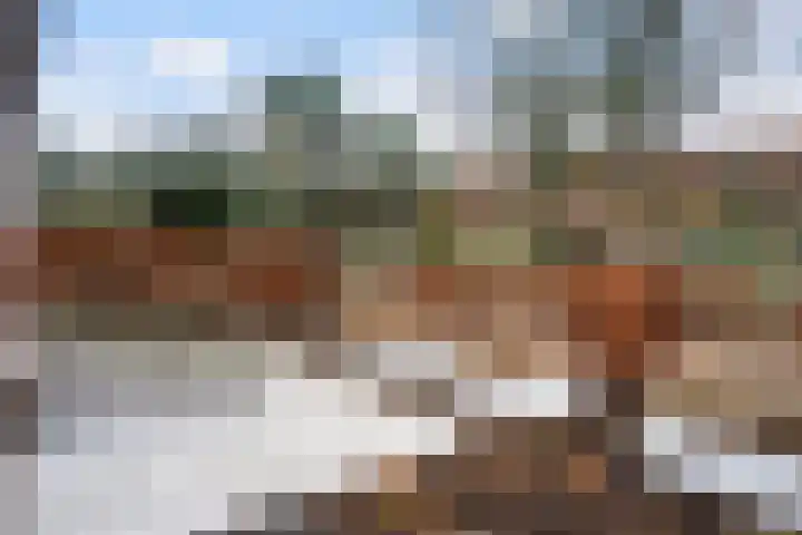 Smutslaan 28 Ermelo thumbnail 48