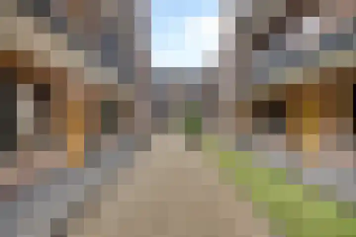 Smutslaan 29 B Ermelo thumbnail 19