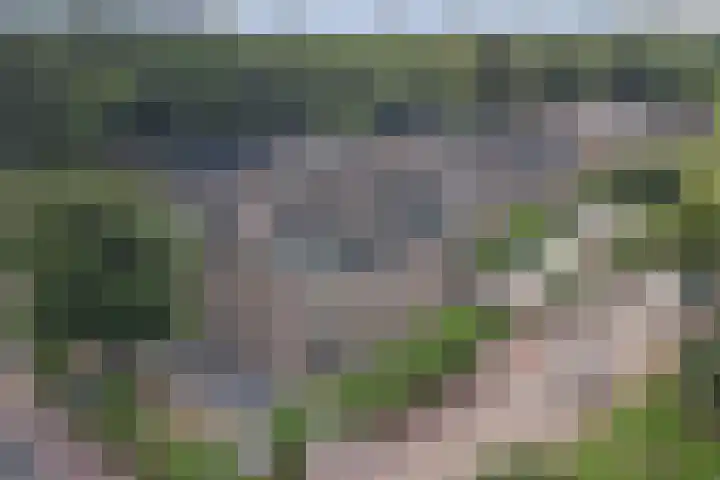 Smutslaan 31 A Ermelo thumbnail 31
