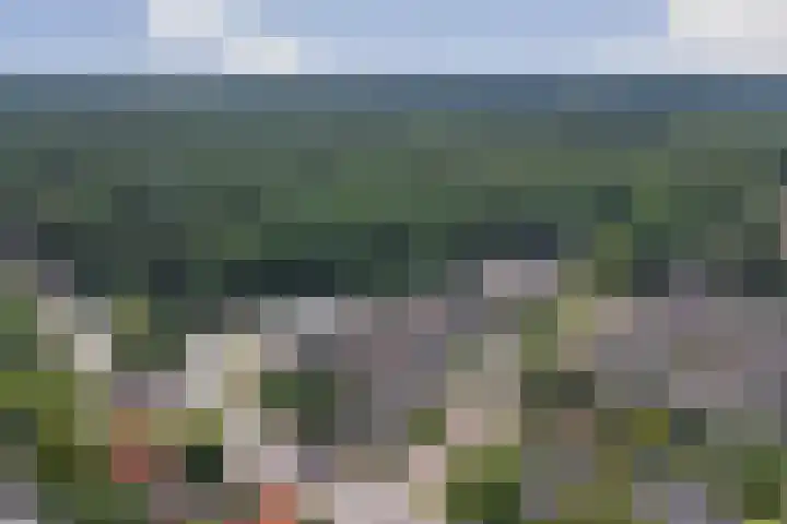 Smutslaan 31 A Ermelo thumbnail 33