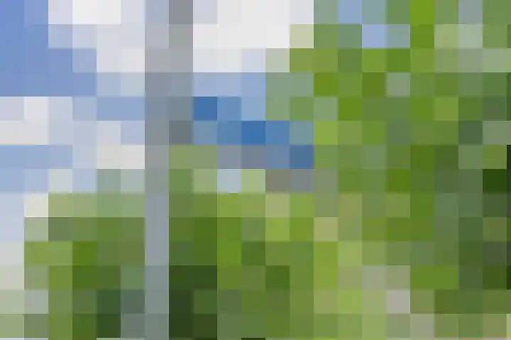 Smutslaan 31 A Ermelo thumbnail 34