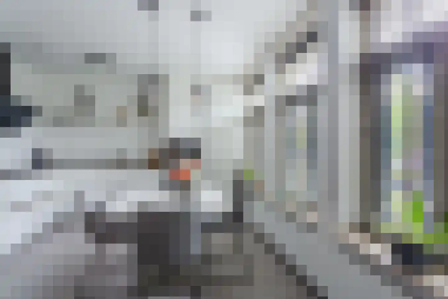 Smutslaan 31 Ermelo thumbnail 12