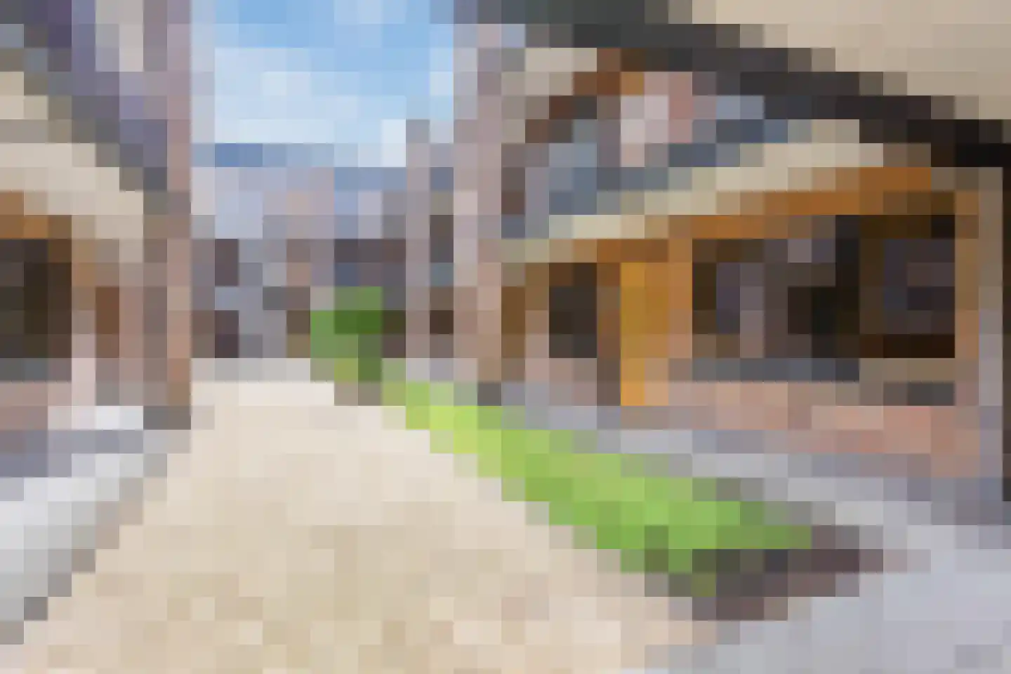 Smutslaan 31 Ermelo thumbnail 23