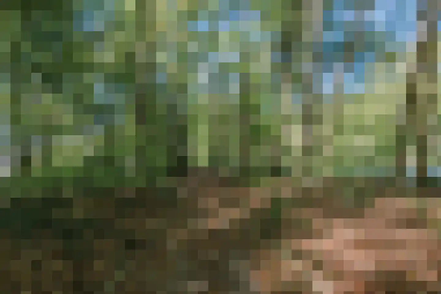 Smutslaan 31 Ermelo thumbnail 37