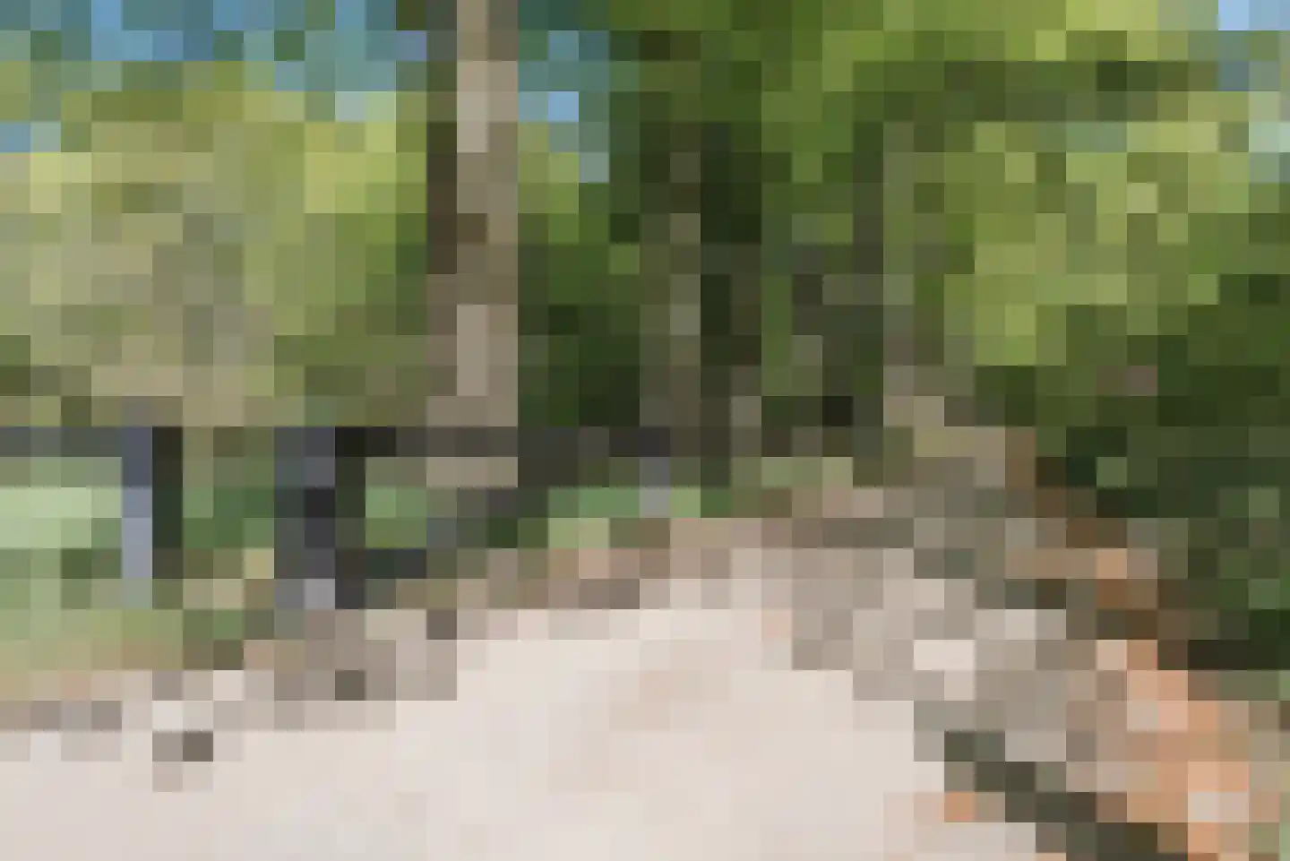 Smutslaan 31 Ermelo thumbnail 38