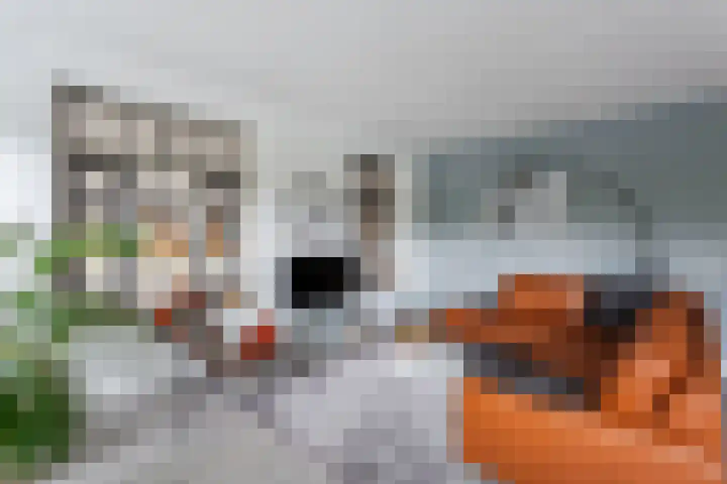 Smutslaan 31 Ermelo thumbnail 8