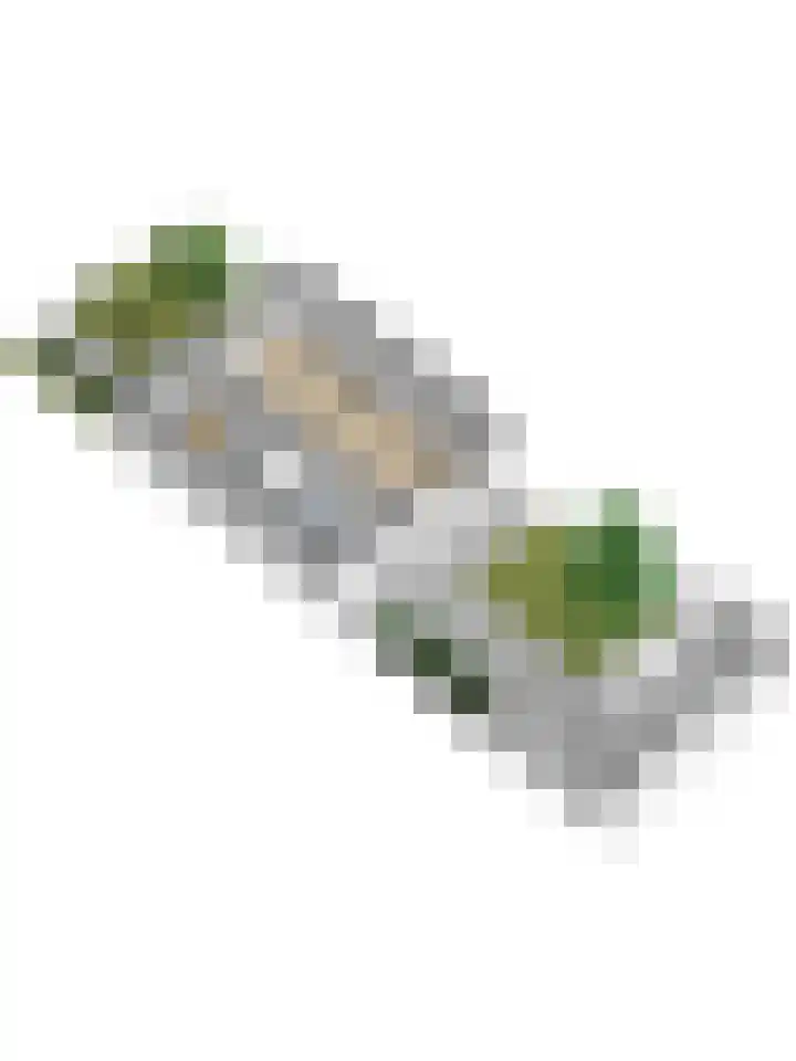Smutslaan 40 Ermelo thumbnail 44