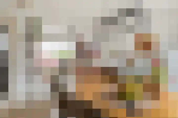 Smutsstraat 17 Vaassen thumbnail 8