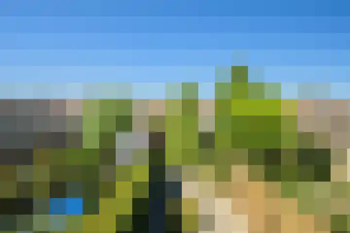 Smutsstraat 53 Breda thumbnail 39