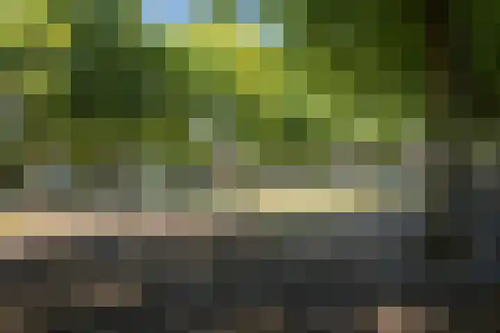 Smutsstraat 53 Breda thumbnail 55