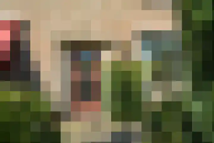 Smutsstraat 53 Breda thumbnail 7