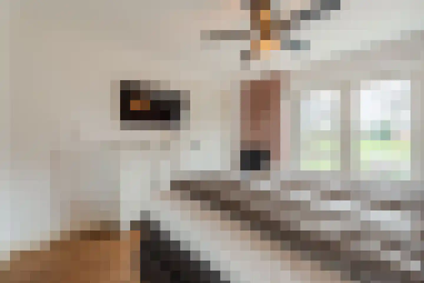 Smydingheweg 10 Garsthuizen thumbnail 33
