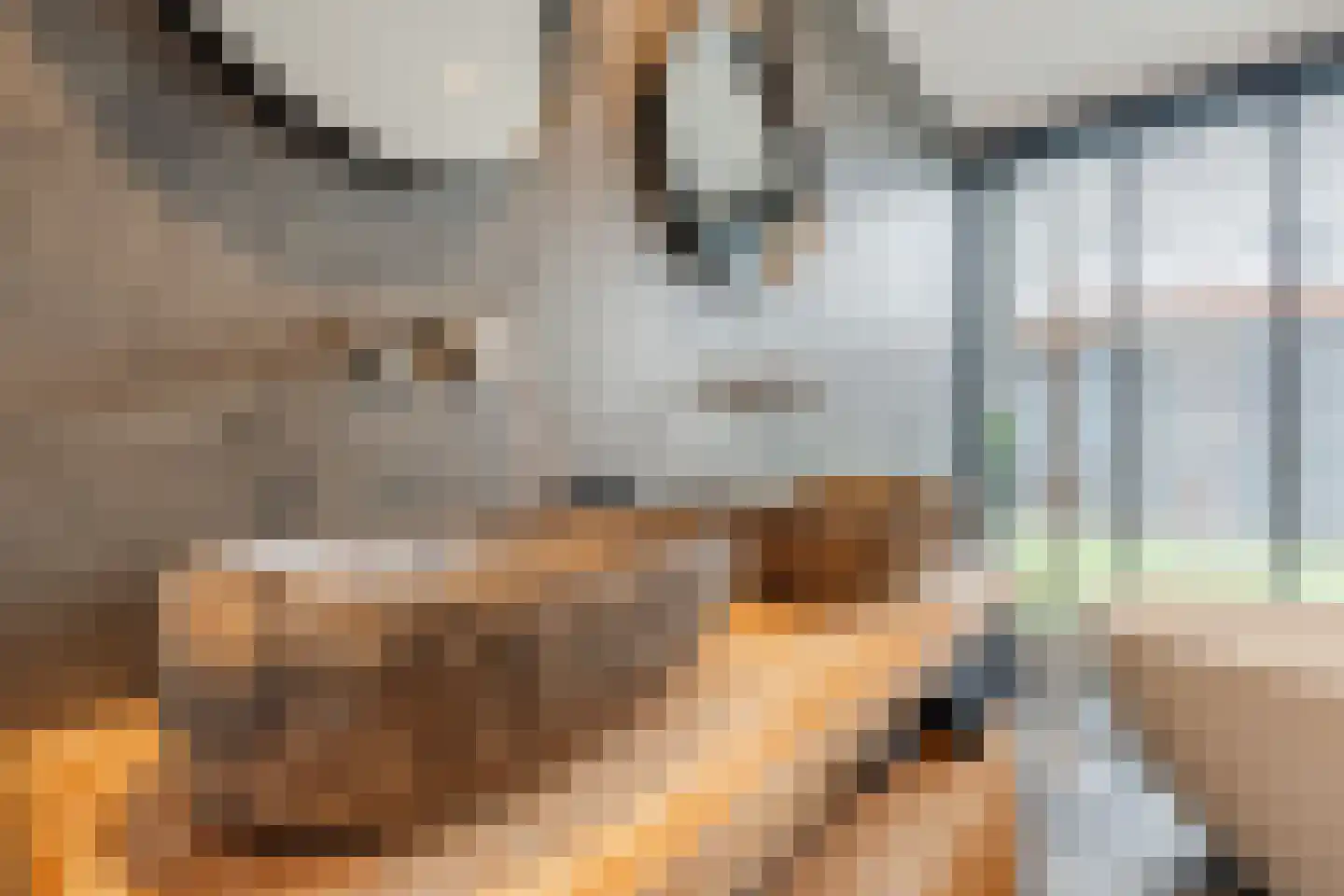 Smydingheweg 10 Garsthuizen thumbnail 39