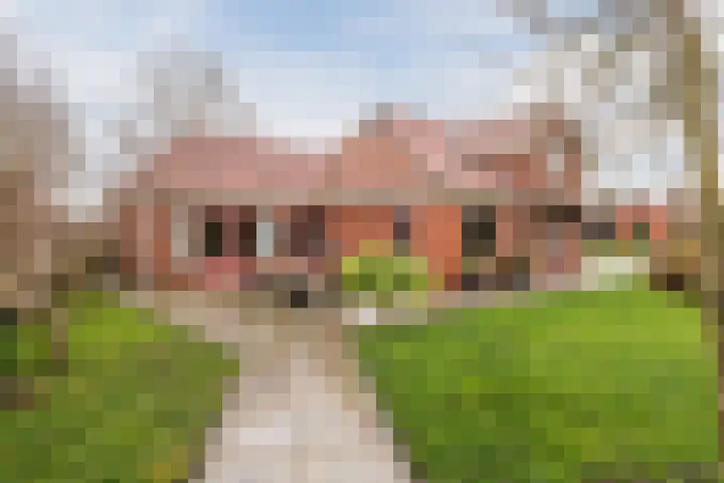 Smydingheweg 10 Garsthuizen thumbnail 4