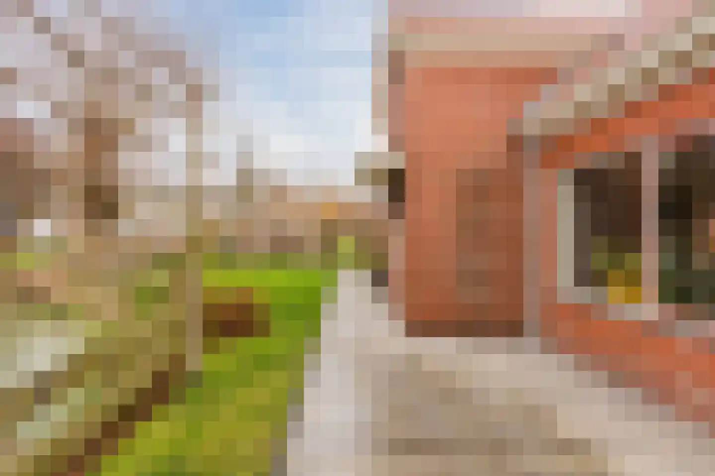 Smydingheweg 10 Garsthuizen thumbnail 5
