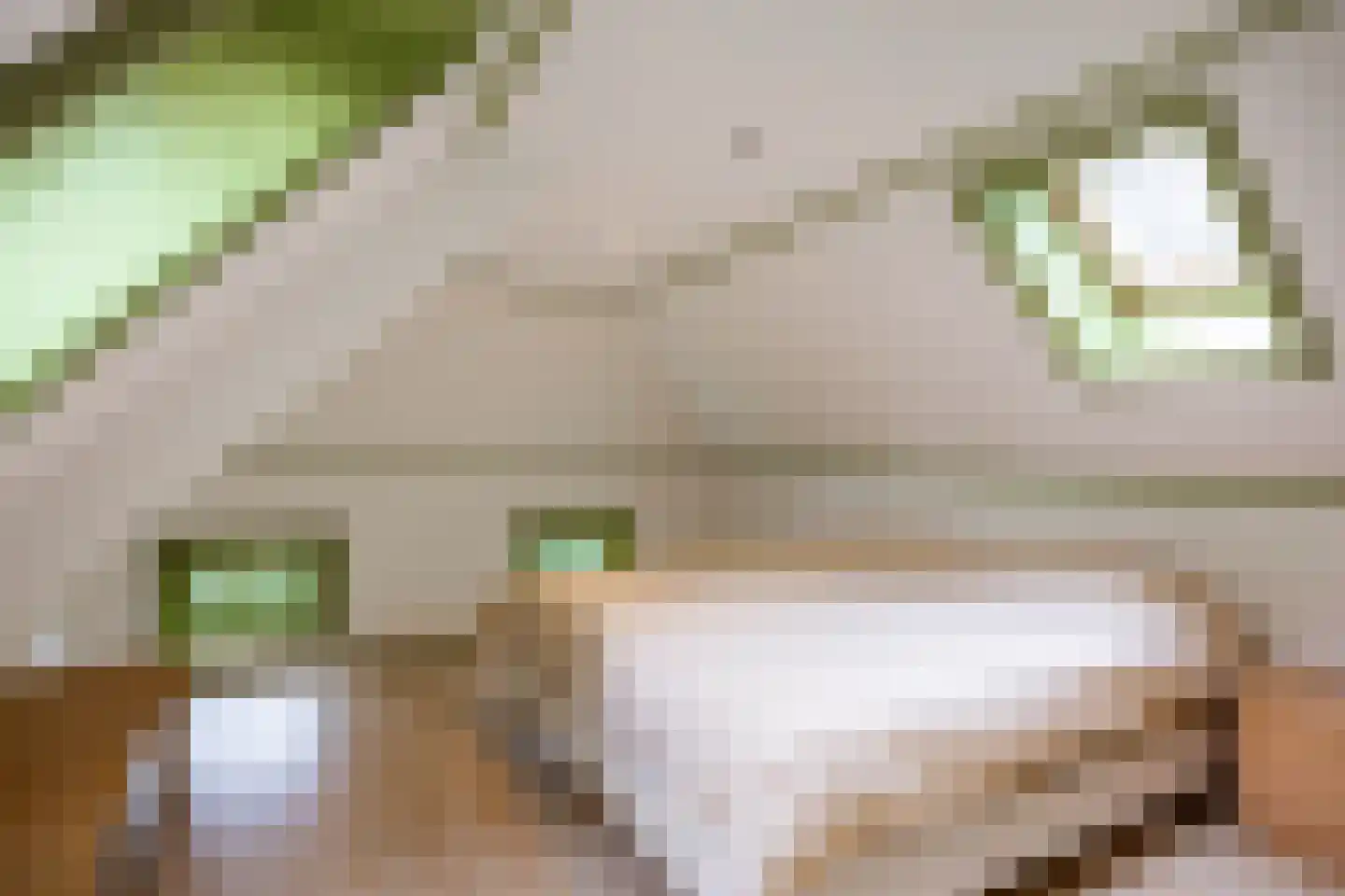 Smydingheweg 2 Garsthuizen thumbnail 49