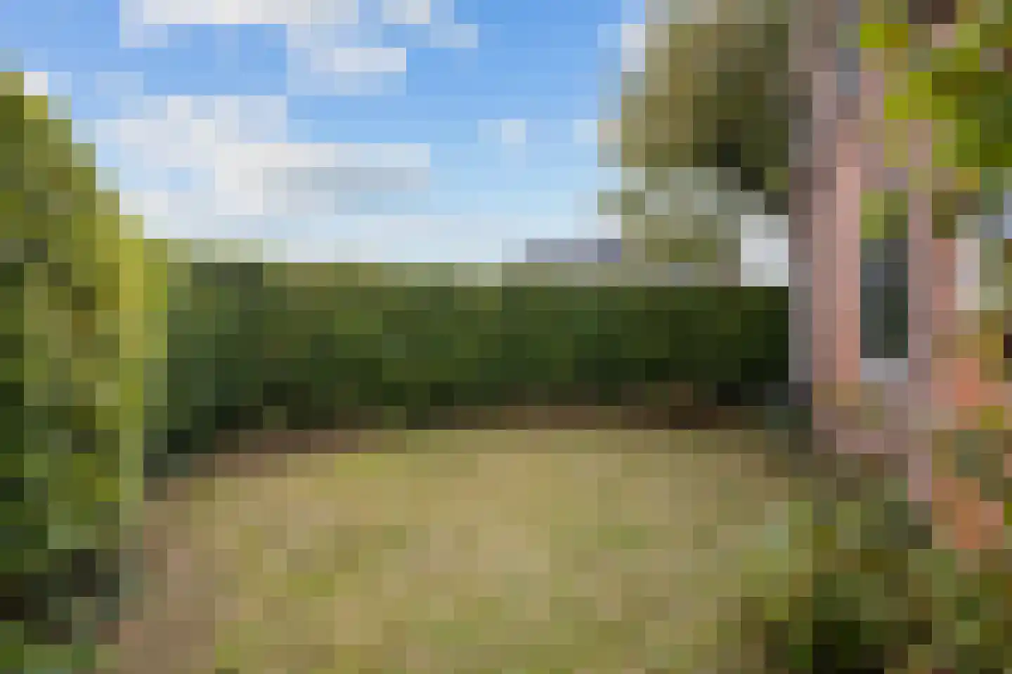 Smydingheweg 2 Garsthuizen thumbnail 63