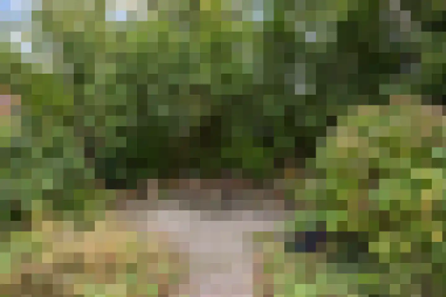 Smydingheweg 2 Garsthuizen thumbnail 67