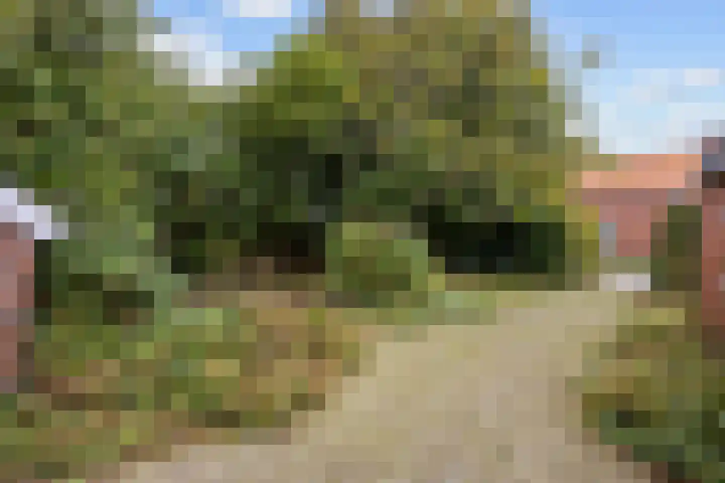 Smydingheweg 2 Garsthuizen thumbnail 70