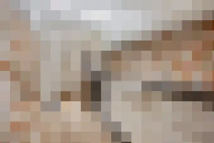 Snaarmanslaan 149 Alkmaar thumbnail 11