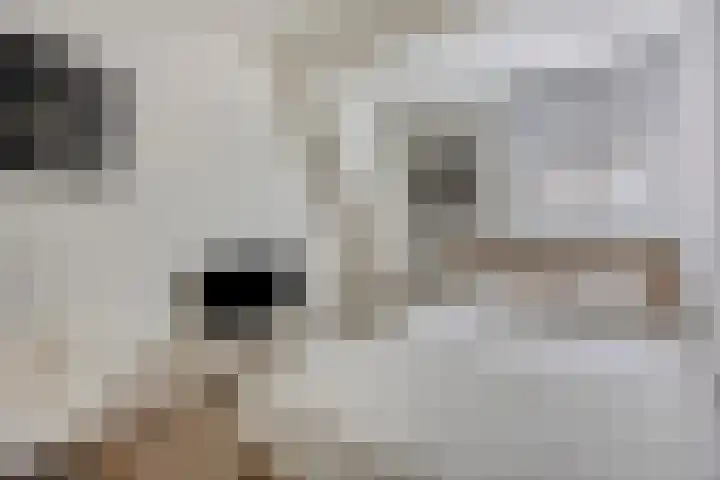 Snaarmanslaan 149 Alkmaar thumbnail 17